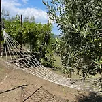 Lejlighed Balconaki In