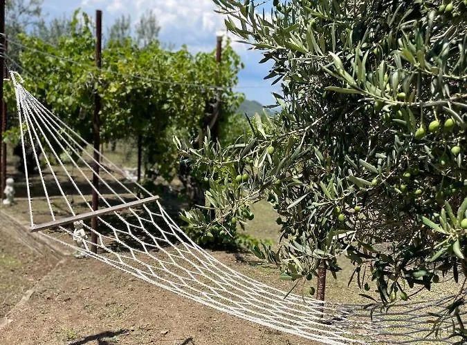 Διαμέρισμα Balconaki In